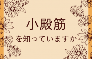 オレンジ　ブラウン　シンプル　花　お知らせ　 Instagramの投稿